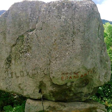 Lilas, Gite Saint Antoine, Orcival, Entre Sancy Et Volcans. Eksteriør billede